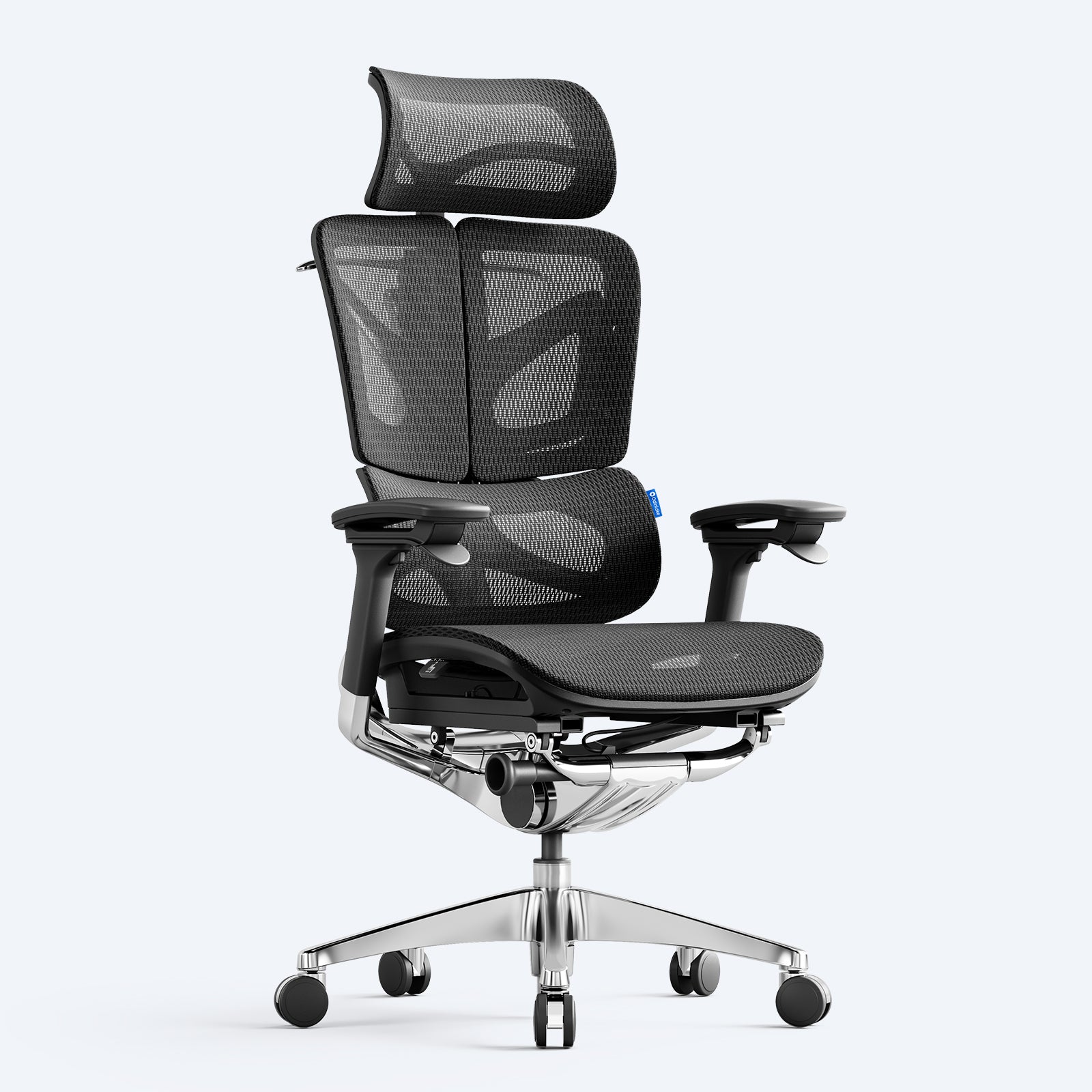 OdinLake Ergonomic Office Chair with Footrest | Ergo Pro 633